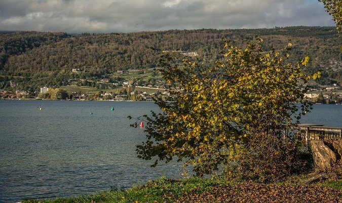 Lake of Bienna