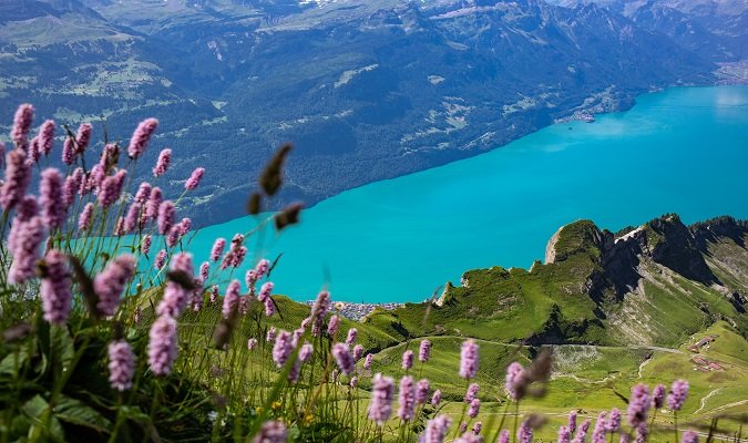 Swiss Lakes Hotels Info